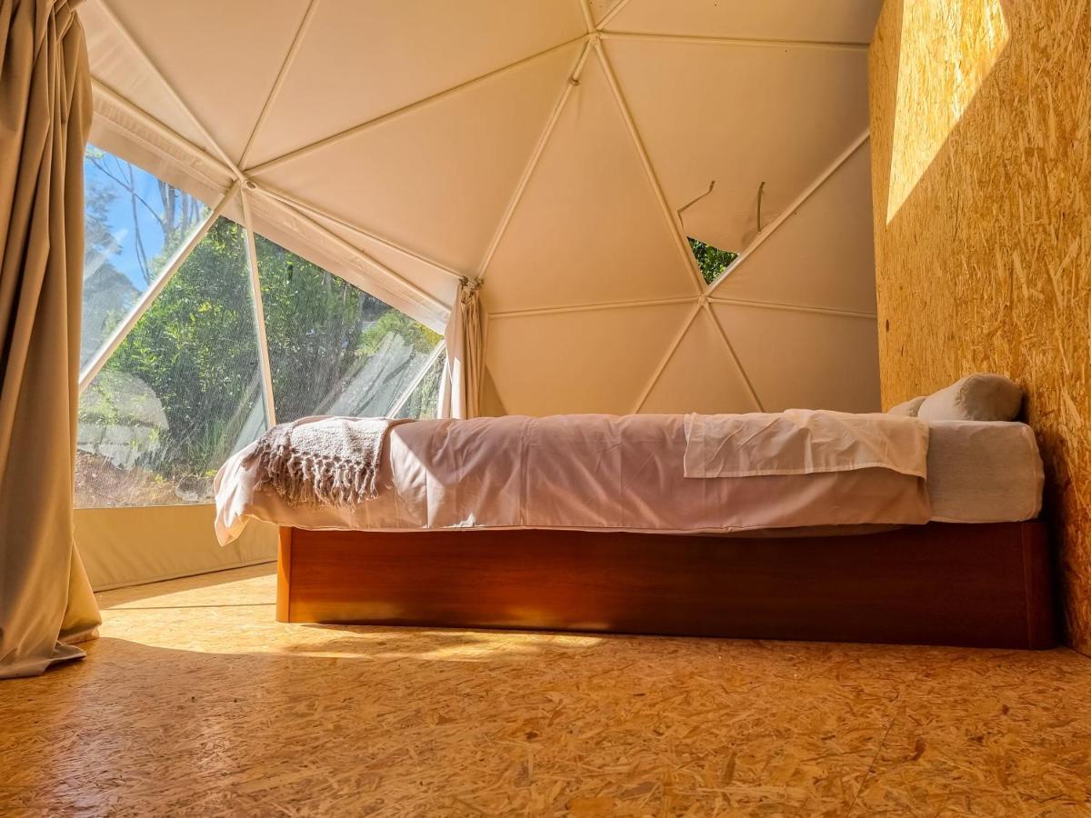 Lodge Quinta Do Abacate - Glamping Park Angra do Heroismo