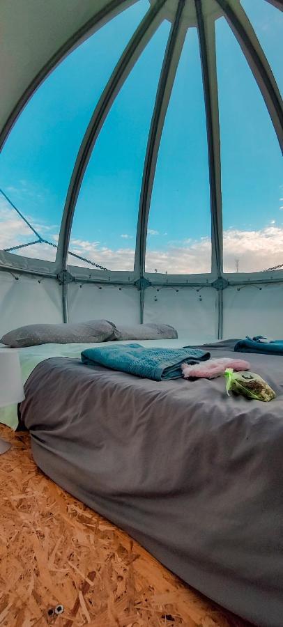 Quinta Do Abacate - Glamping Park * Angra do Heroismo