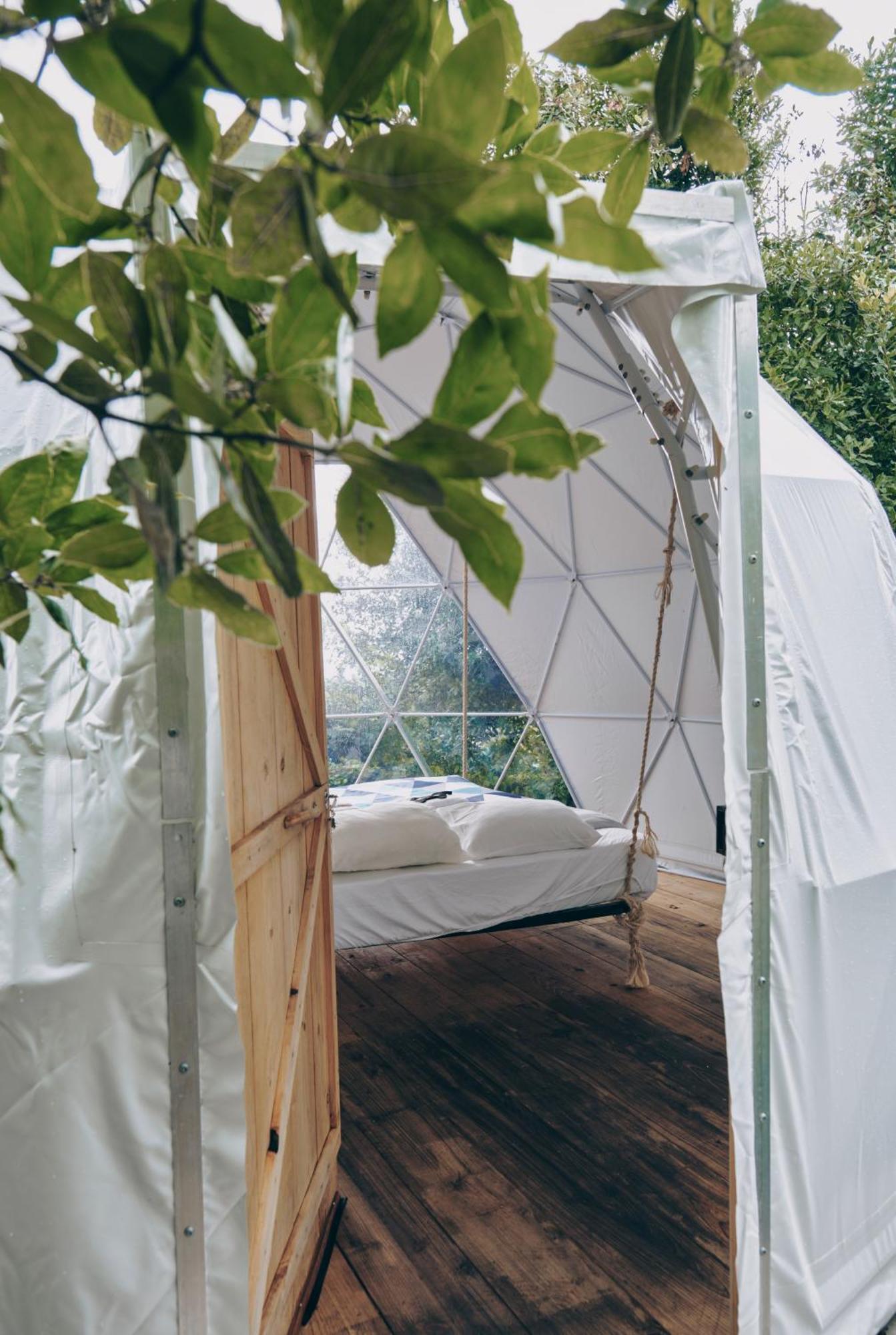 Lodge Quinta Do Abacate - Glamping Park *